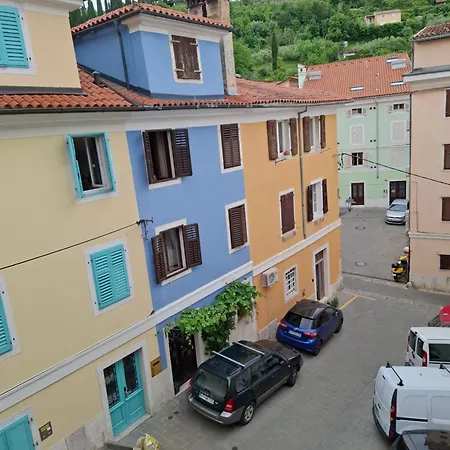 Bird * Piran