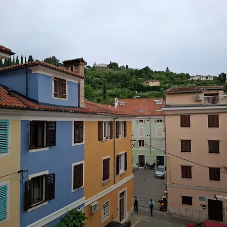 Apartment Bird Piran